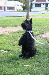 I'm Hungry!  on the way to melbourne in 2007